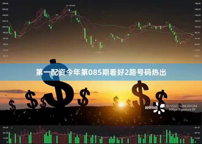 第一配资今年第085期看好2路号码热出