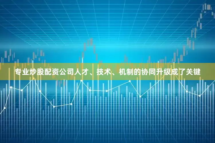 专业炒股配资公司人才、技术、机制的协同升级成了关键