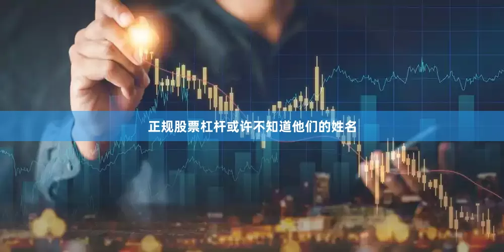 正规股票杠杆或许不知道他们的姓名