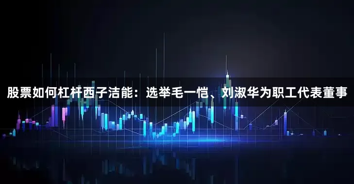 股票如何杠杆西子洁能：选举毛一恺、刘淑华为职工代表董事